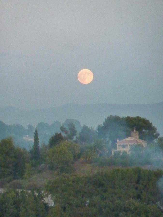 La Maison Aux Bonsais Saint-Paul-de-Vence Eksteriør billede