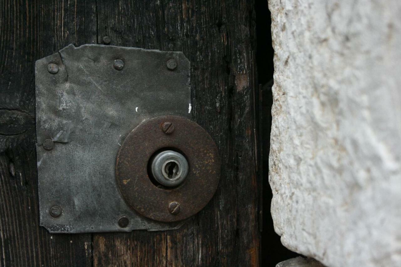 La Maison Aux Bonsais Saint-Paul-de-Vence Eksteriør billede